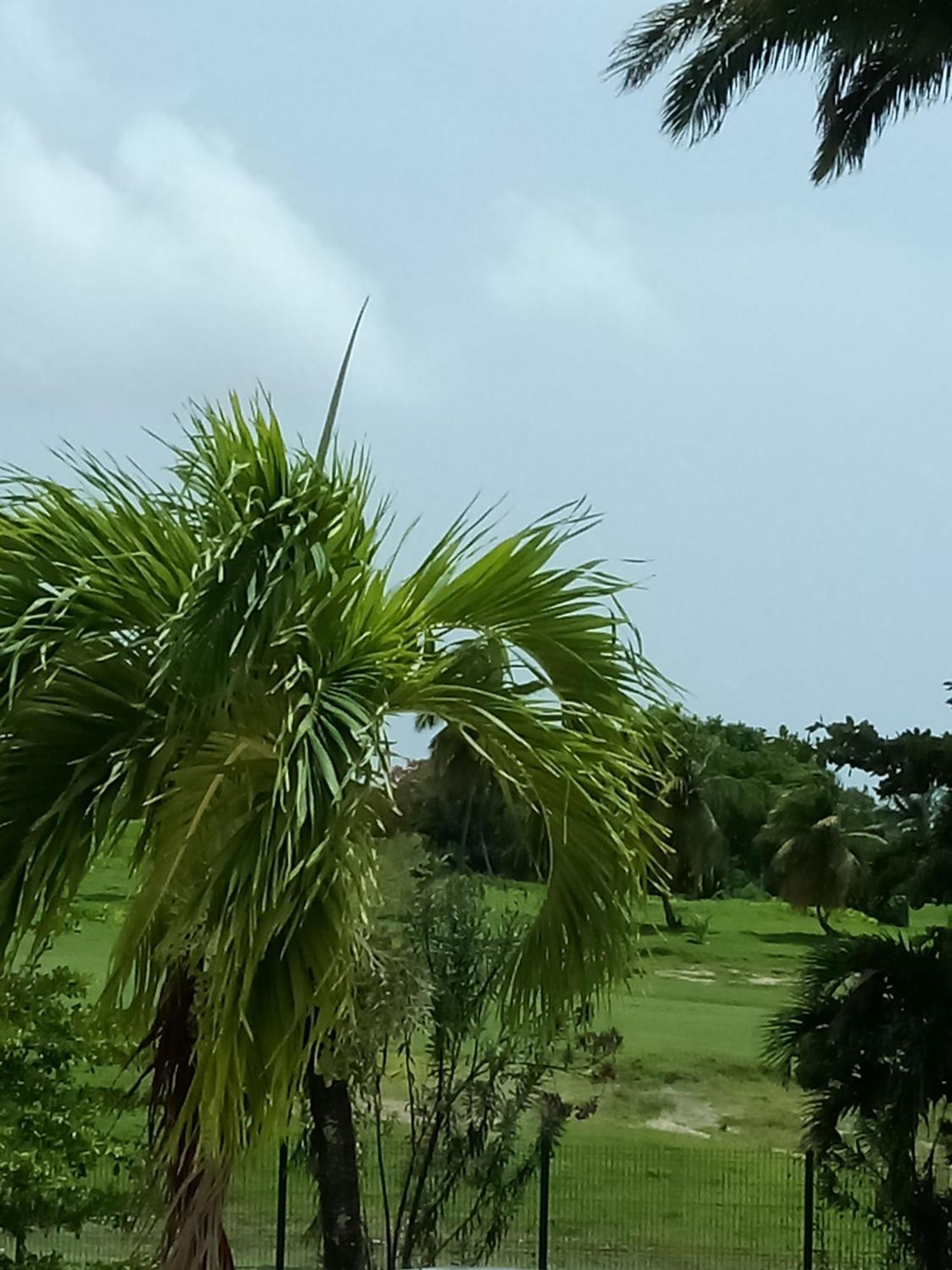 Appartement Marines3 Vue Golf *